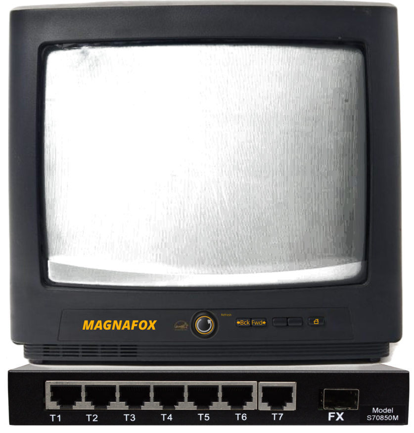 TV that serves as mini browser